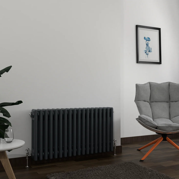 Traditional 2 and 3 Column Horizontal Radiators